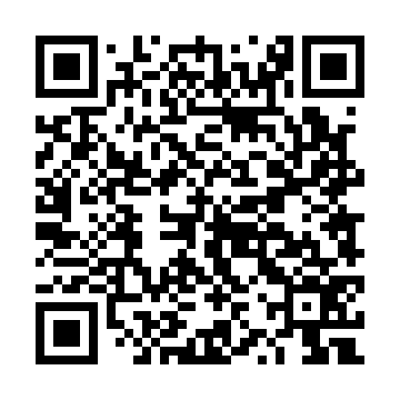 QR code for DZT176