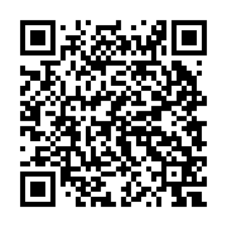 QR code for DZT262