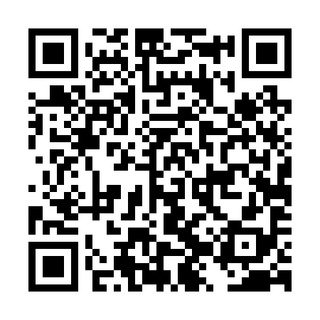 QR code for DZT298