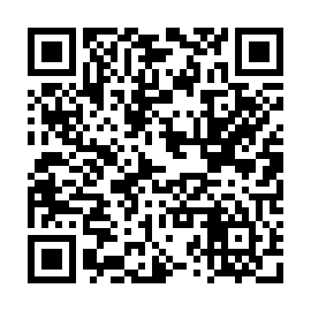 QR code for DZT305
