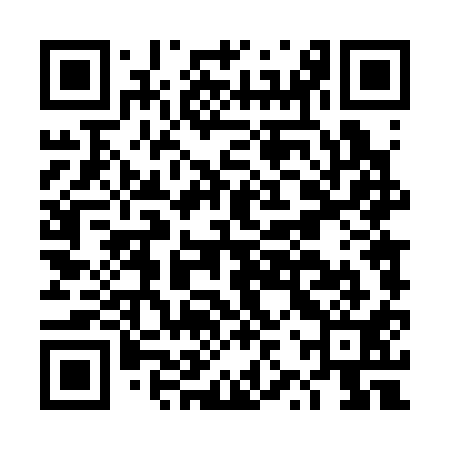 QR code for DZT311