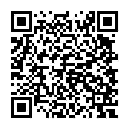 QR code for DZT441