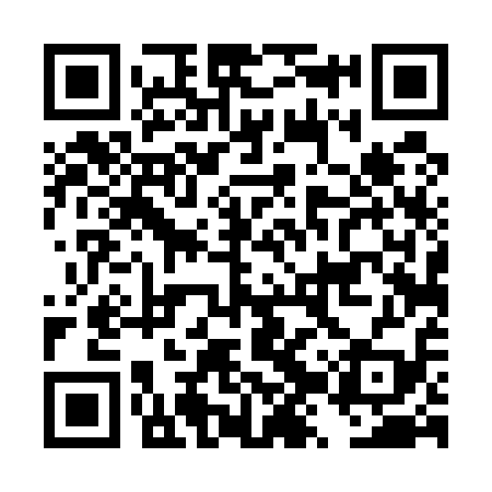 QR code for DZT519