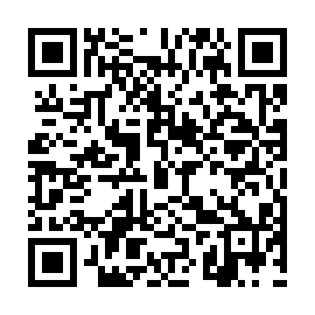 QR code for DZU310