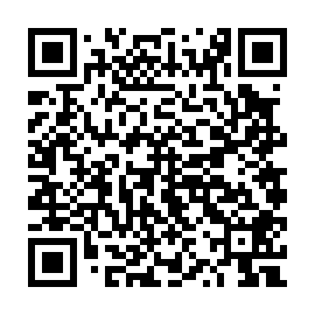 QR code for DZV008