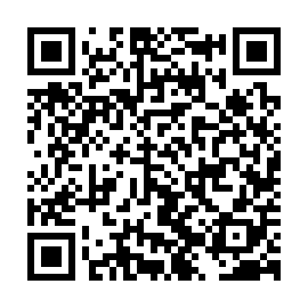 QR code for DZV308