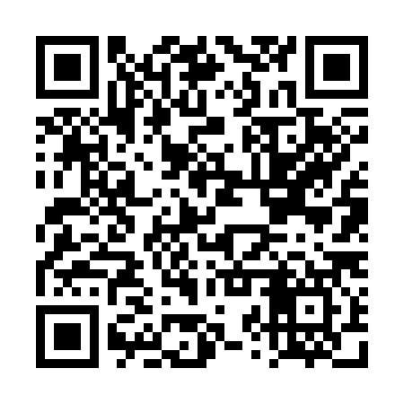 QR code for DZV387