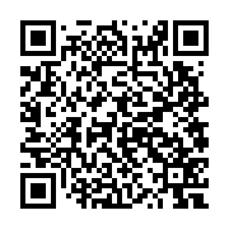 QR code for DZV777