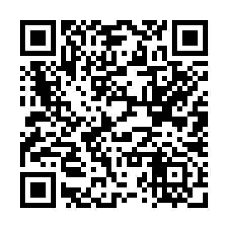 QR code for DZW393