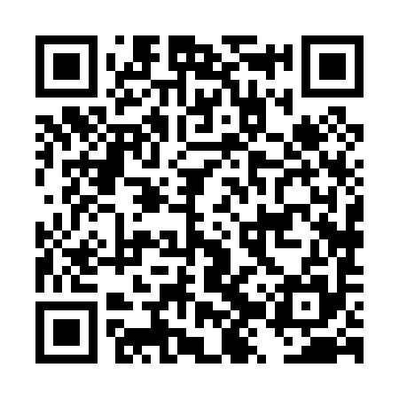 QR code for DZX095