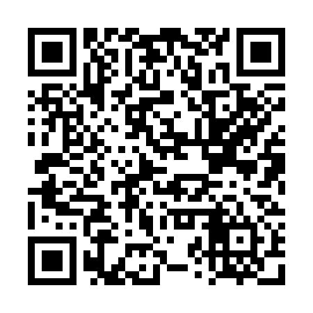 QR code for DZX334