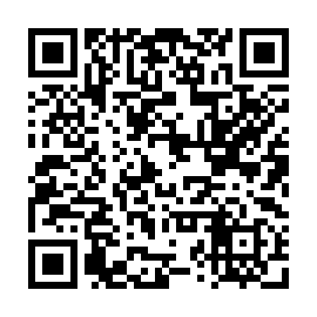 QR code for DZX398