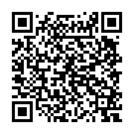 QR code for DZX440