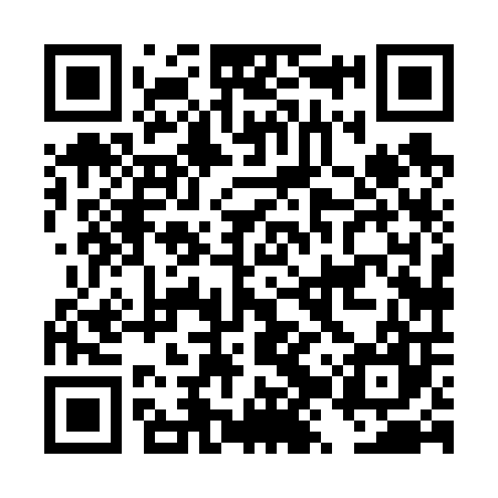 QR code for DZX607