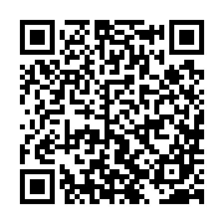 QR code for DZX787