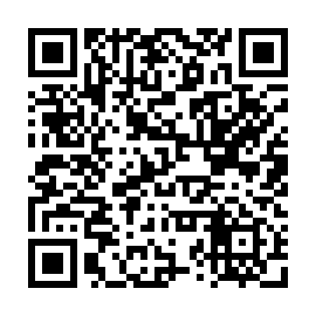 QR code for DZY119