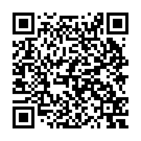 QR code for DZY237