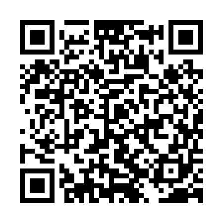 QR code for DZY250