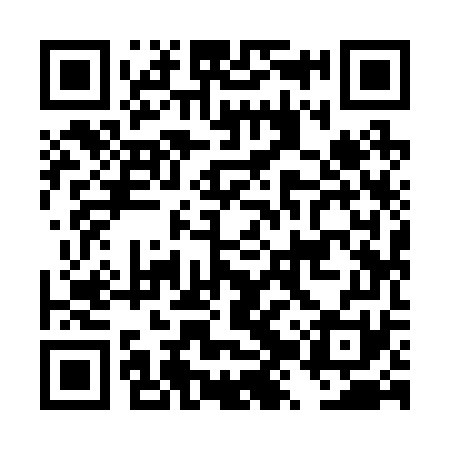 QR code for DZY271
