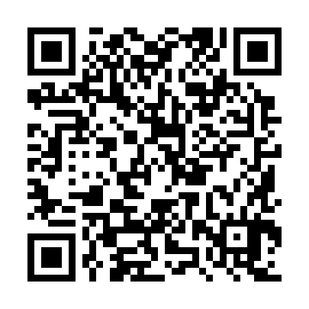 QR code for DZY384