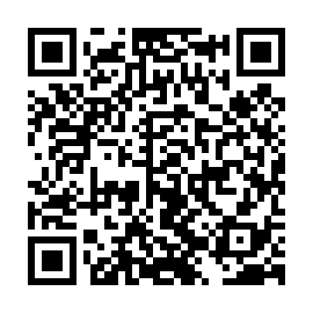 QR code for DZY438