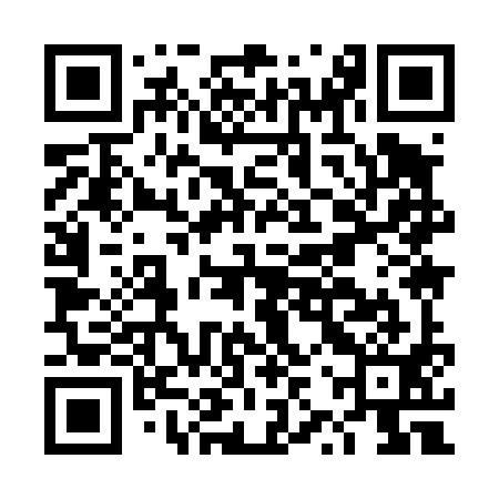 QR code for DZY491