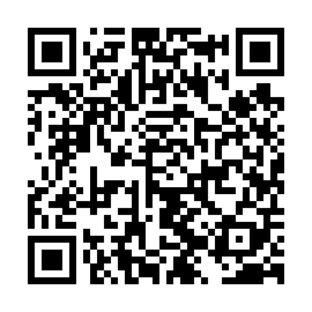 QR code for DZY609