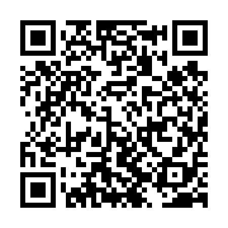 QR code for DZY618