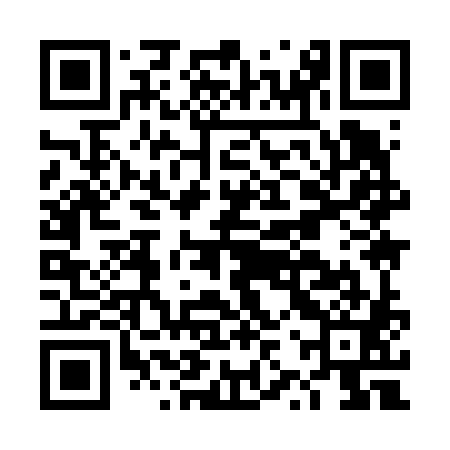QR code for DZY681