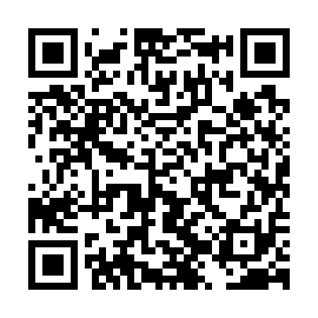 QR code for DZY711