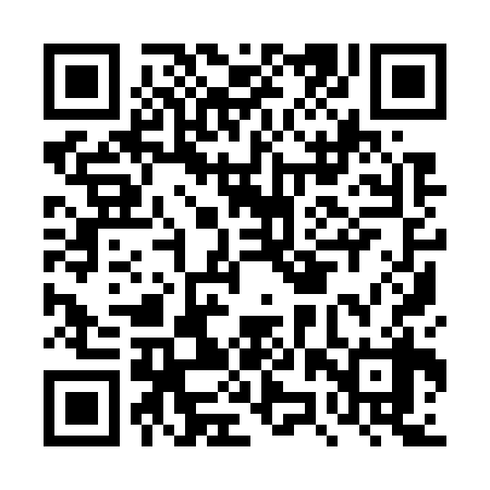 QR code for DZY738