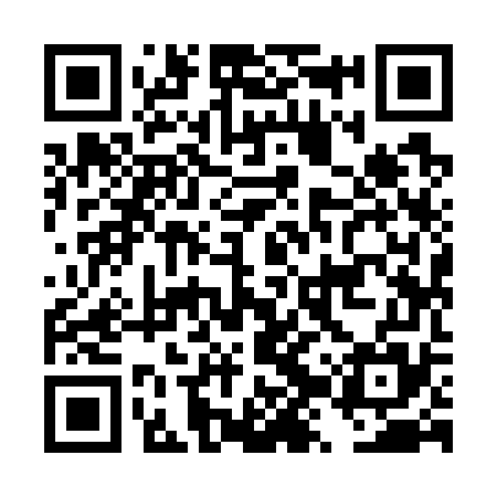 QR code for DZY775