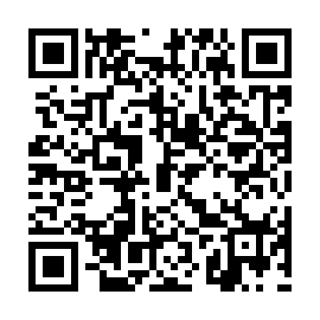 QR code for DZY978