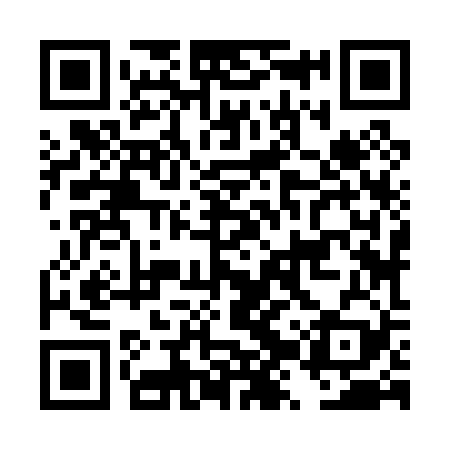 QR code for DZZ029
