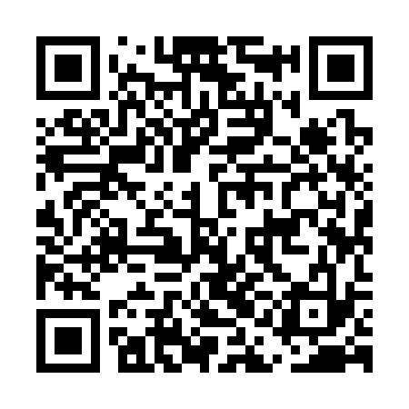 QR code for EAI333
