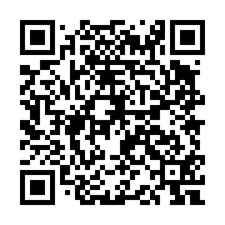 QR code for EBM411