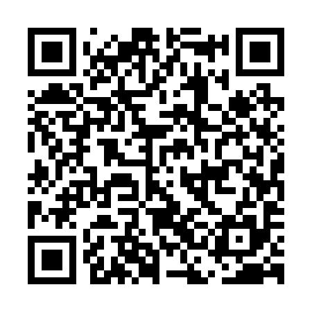 QR code for ECE295