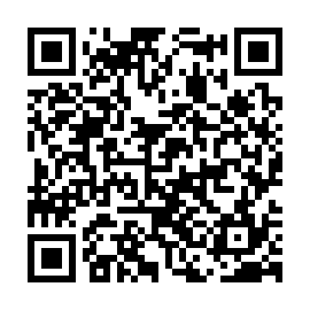 QR code for ECO334