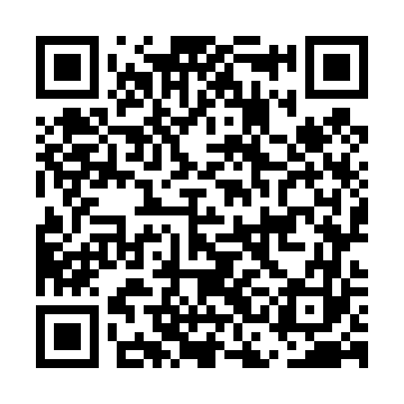 QR code for ECO463