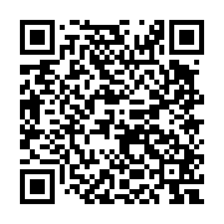 QR code for EEA441