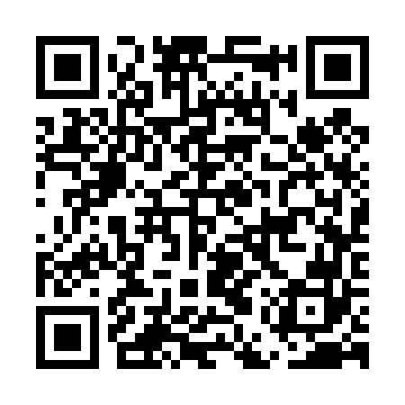 QR code for EES462