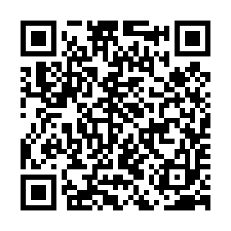 QR code for EES493