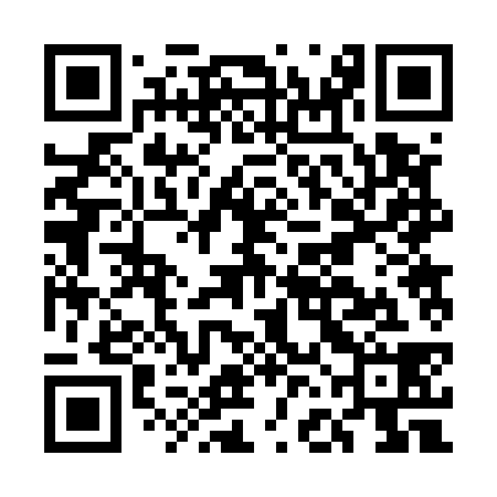 QR code for EFB538