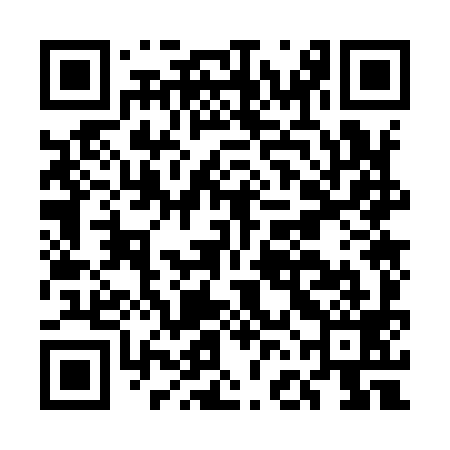 QR code for EFO999