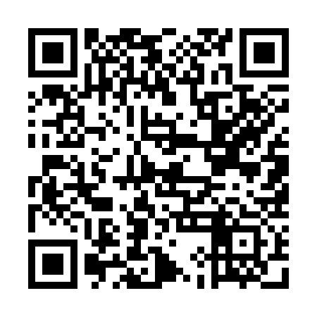 QR code for EIE333