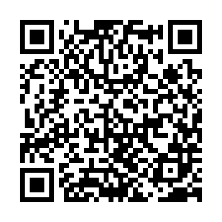 QR code for EIE382