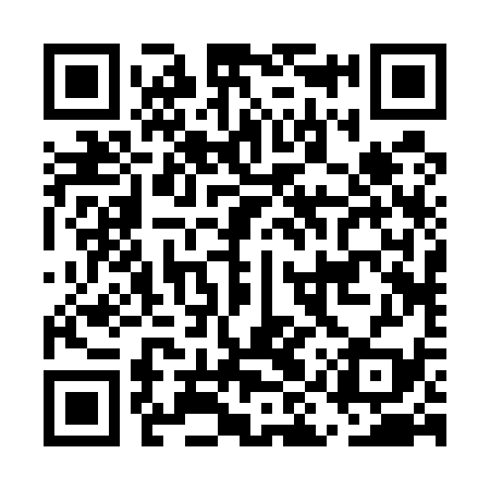QR code for EIR539