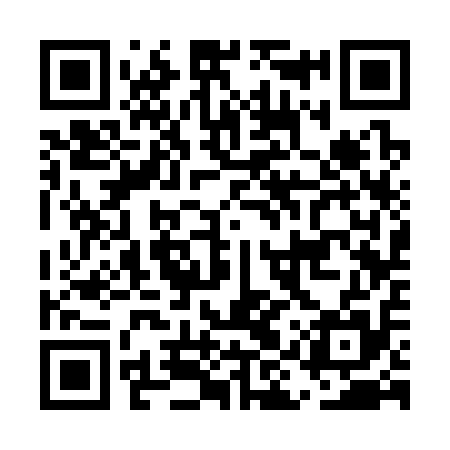 QR code for EIS315