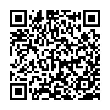 QR code for EIS380