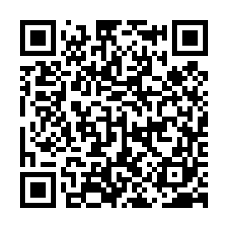 QR code for EIS460
